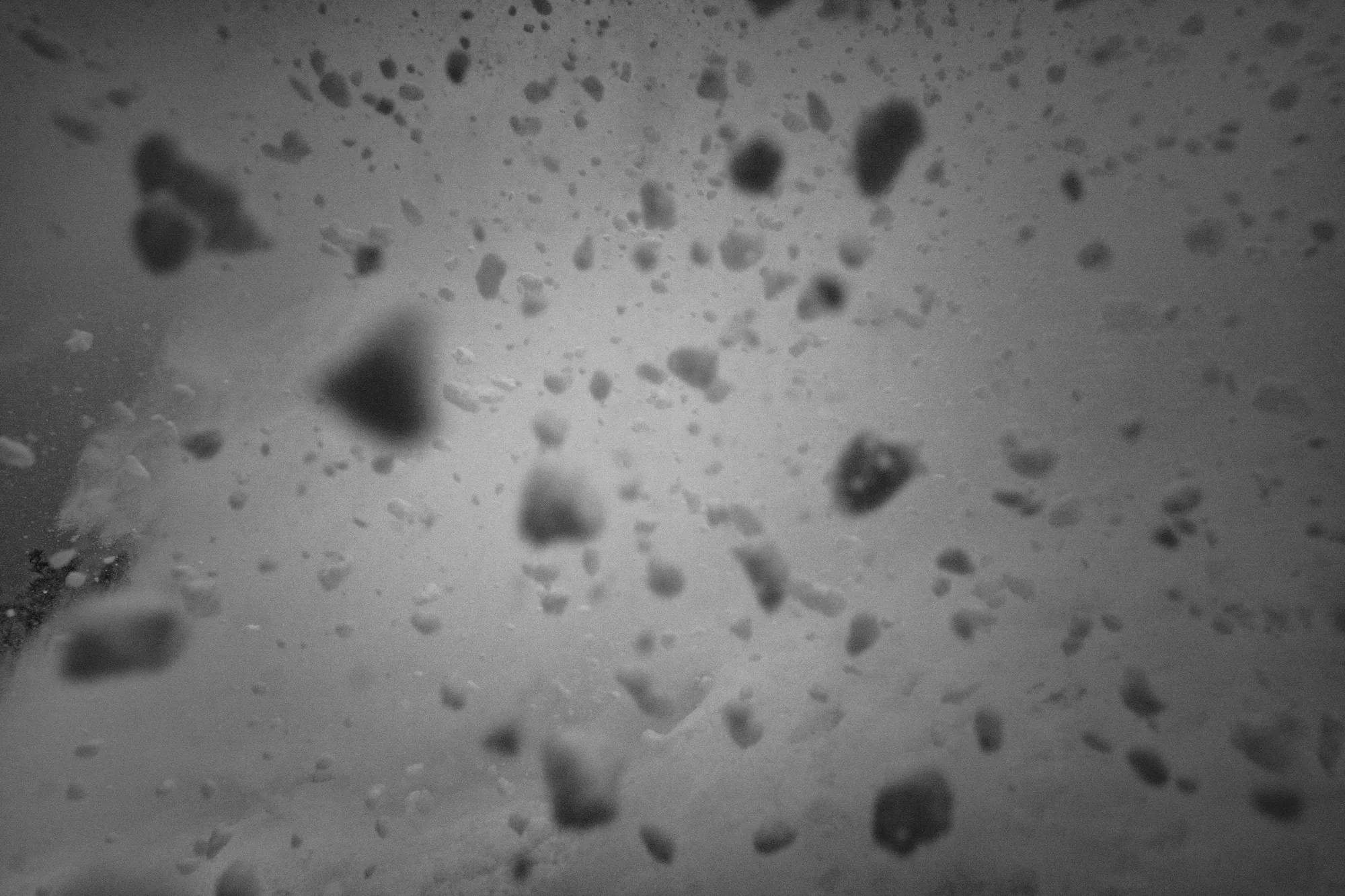 Korua Shapes — image 6