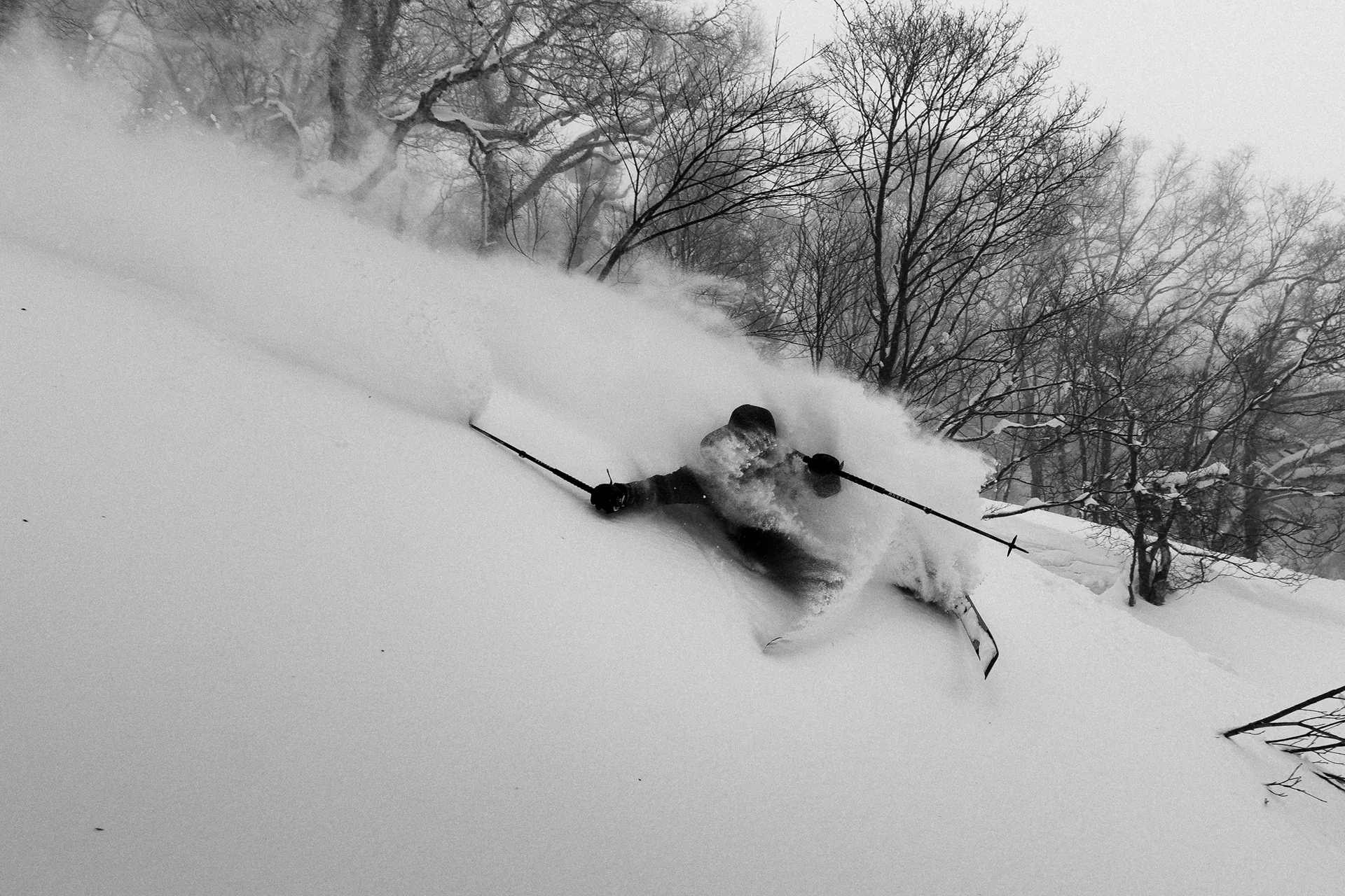 Skier in deep powder, Hokkaido