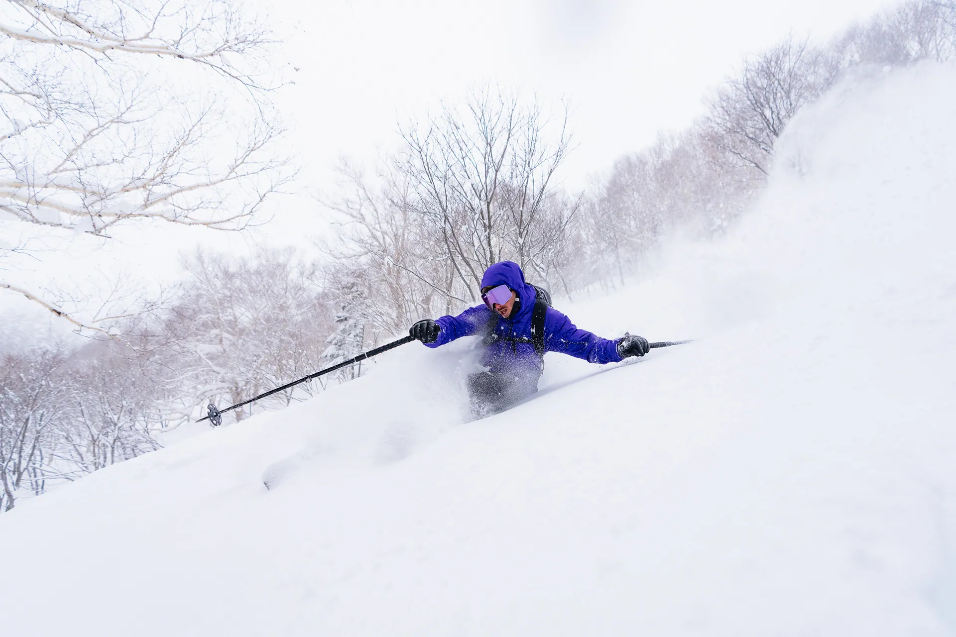 Skier in Niseko powder