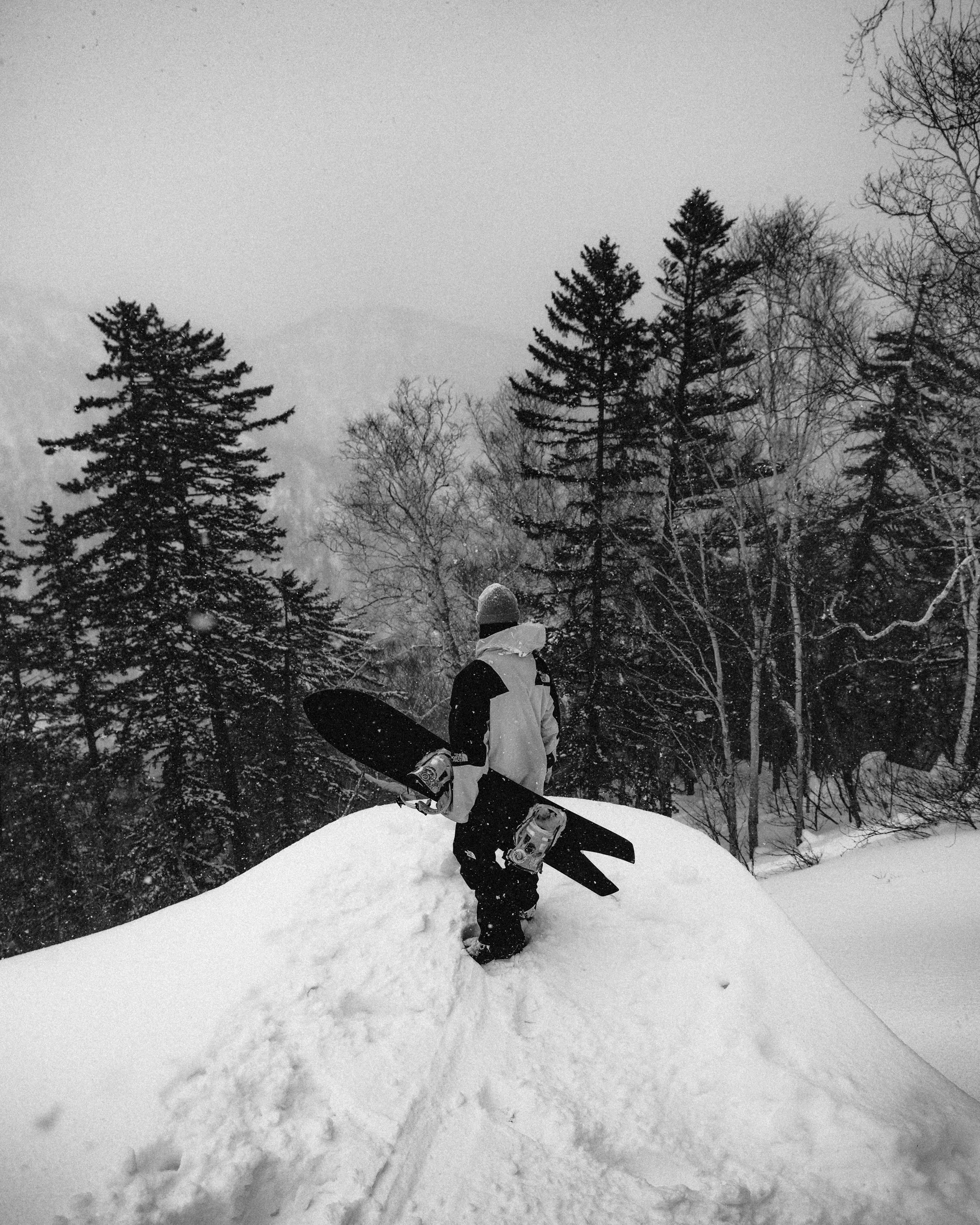 Winter Sports — image 5